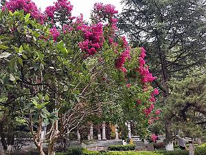 KUNMING - Maison de LU HAN - 51